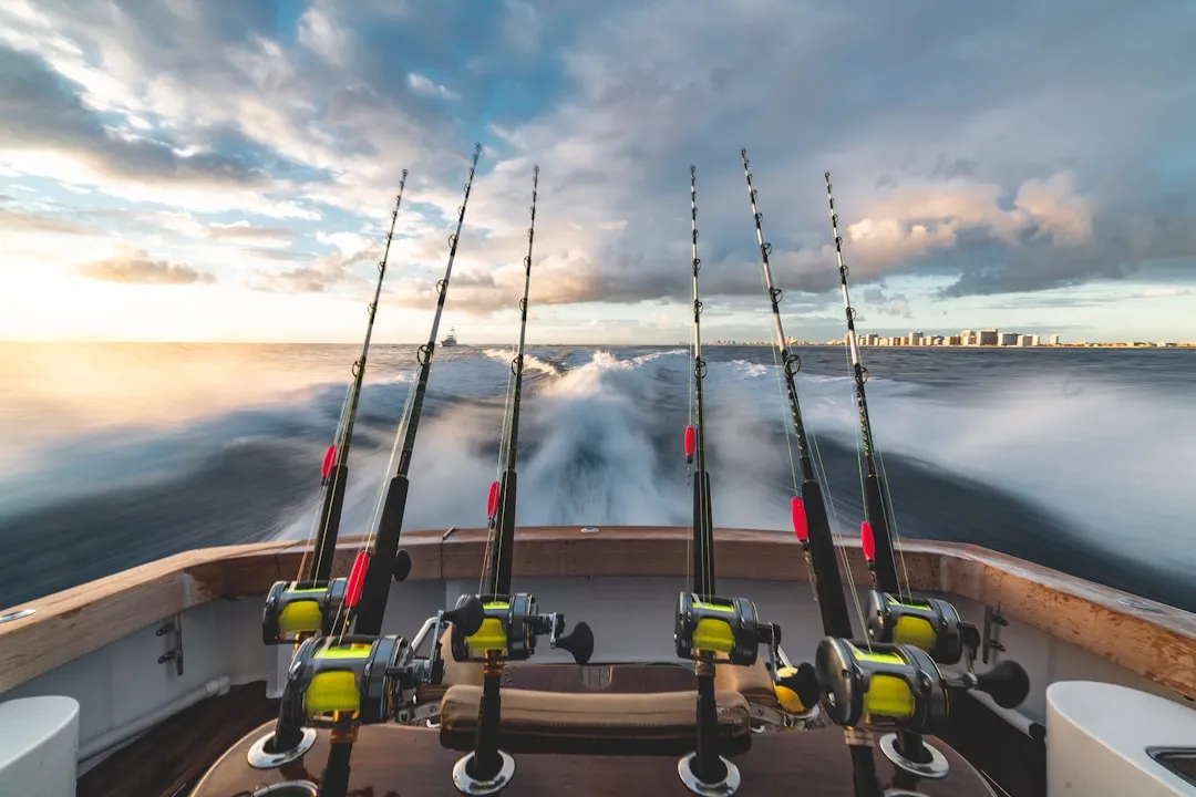 Braided Line vs Mono Pros, Cons, and When to Use Each