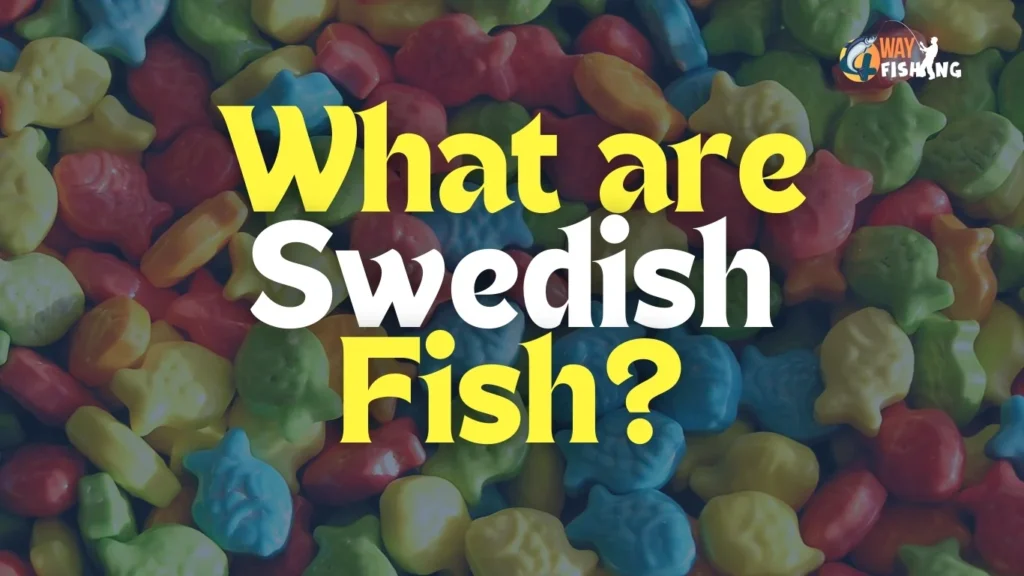 Are Swedish Fish Gluten Free Facts and Myths Explained | What are Swedish Fish