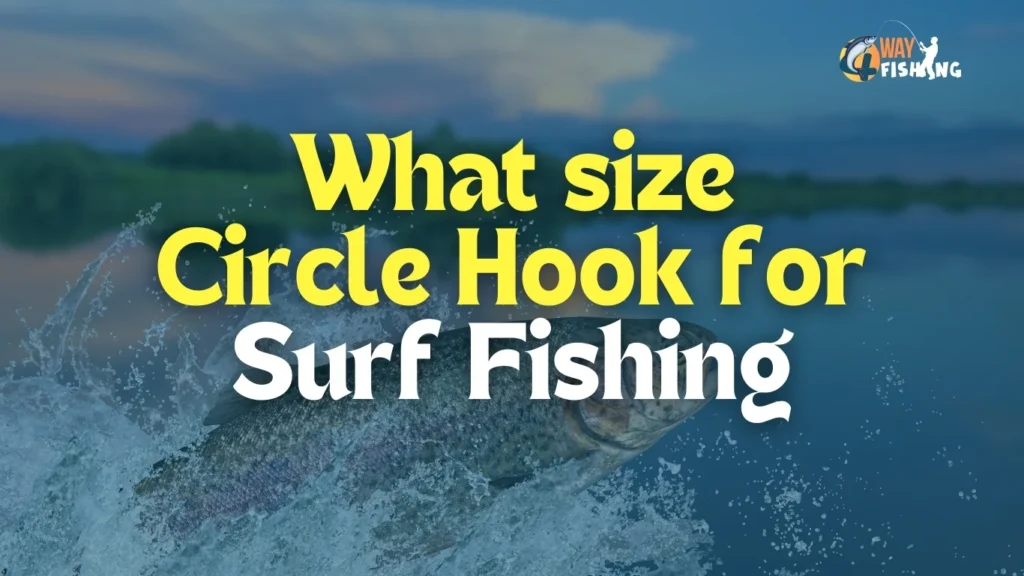 What size Circle Hook for Surf Fishing